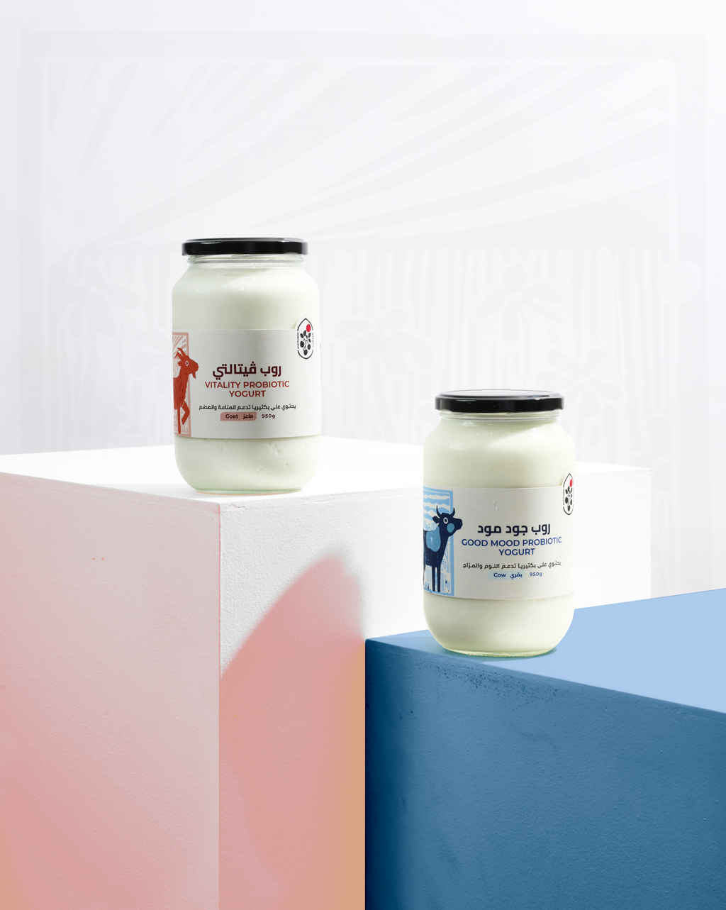 Body & Mind Bundle