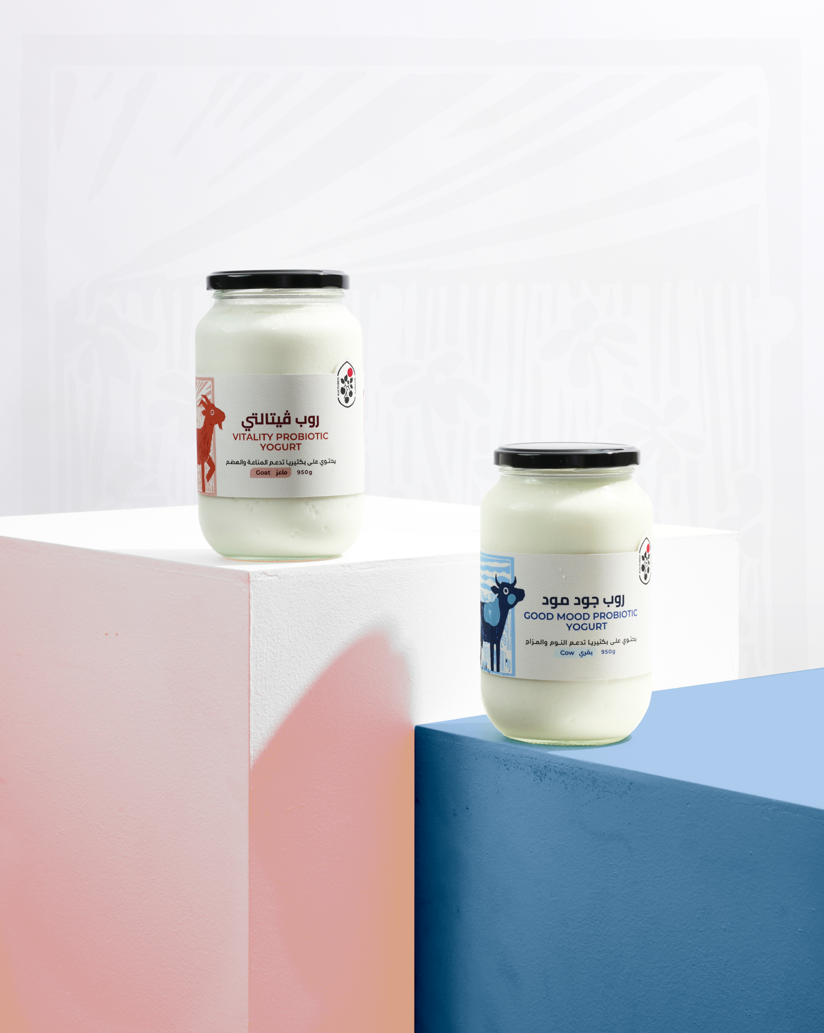 Body & Mind Bundle