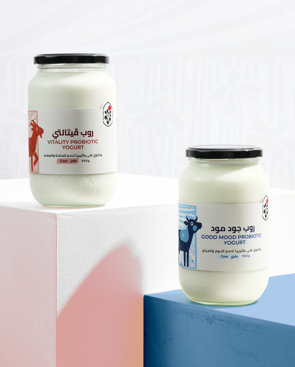 Body & Mind Bundle